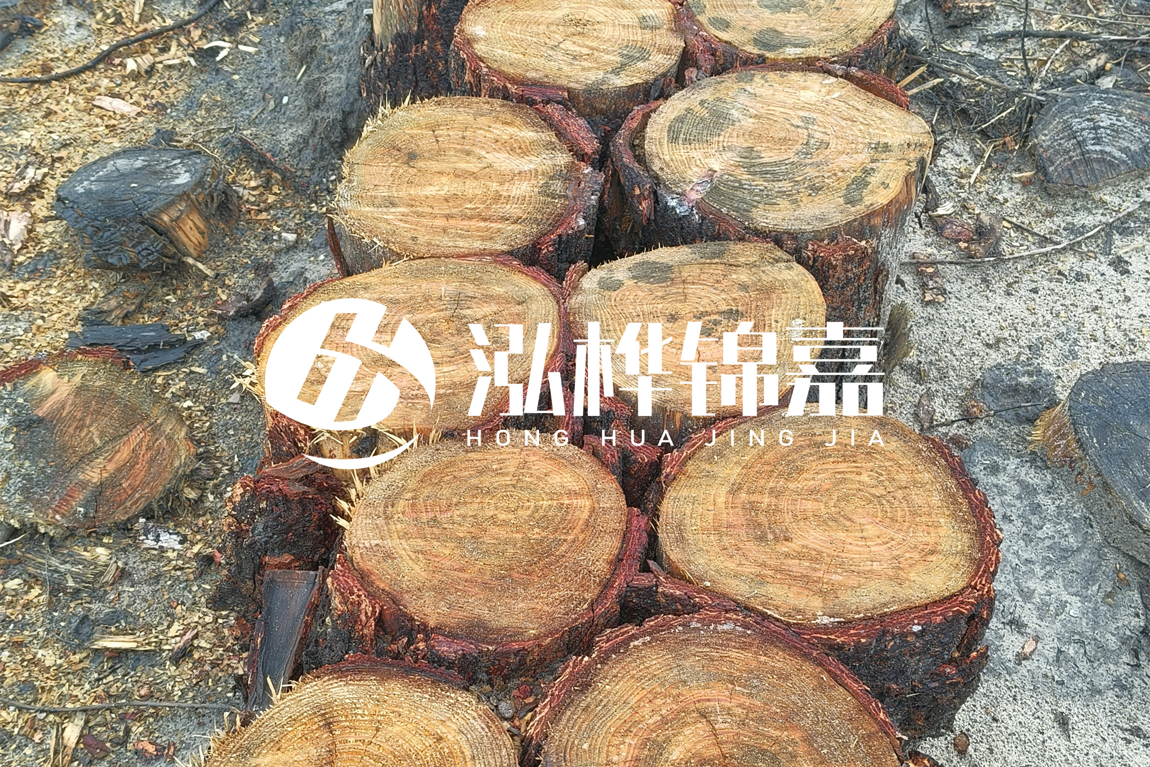 浙江臺州有清淤的公司嗎？浙江臺州有清淤施工隊(duì)嗎？