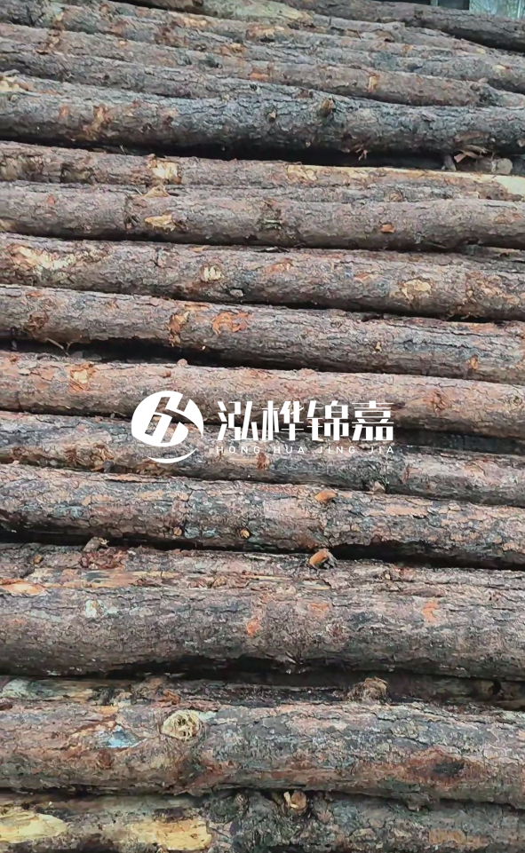 陽(yáng)江松木樁源頭廠家-哪一種打樁木最便宜？