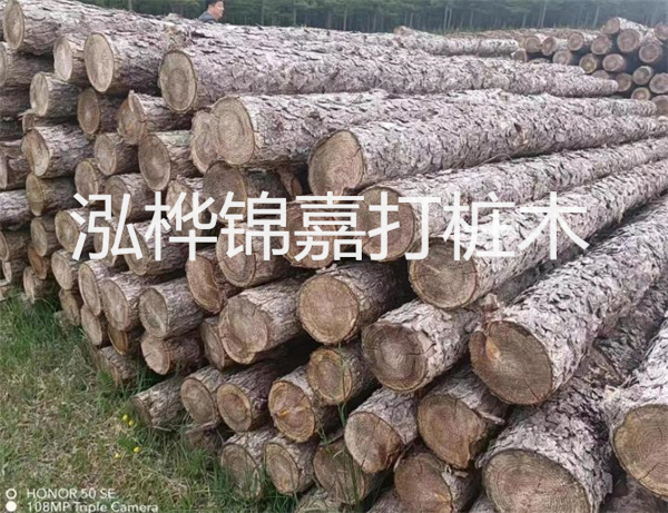 高效修補(bǔ)，保駕護(hù)航！水泥路面高強(qiáng)度修補(bǔ)料為您解決煩惱！