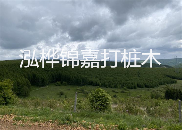 松木樁能重復施工么？