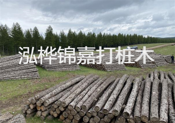 鋼結(jié)構(gòu)施工方案大全免費(fèi)提供，助力工程建設(shè)