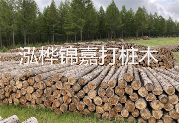 松木樁能施工嗎？探究視頻揭秘真相！