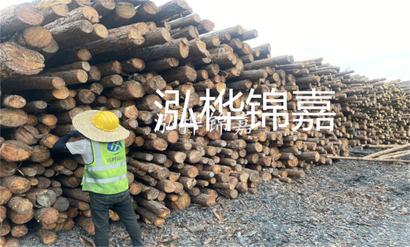 廣東河道松木樁施工，保護水域環(huán)境的重要工作