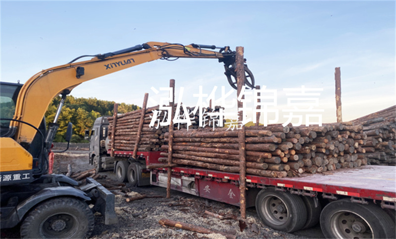 打護坡松木樁施工視頻-保障道路安全，提升城市形象！