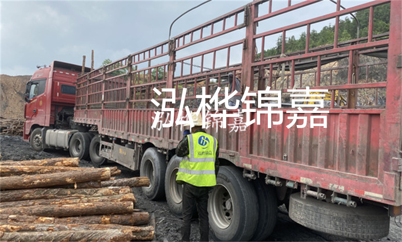 定安河道仿松木樁施工，打造環(huán)保生態(tài)水域