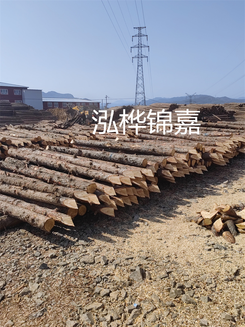 深入了解松木樁基礎施工單價，助力工程建設順利進行！
