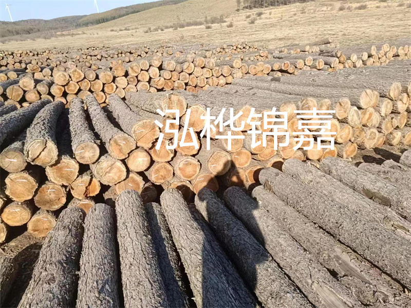 選擇合適的路緣石尺寸，打造美麗道路